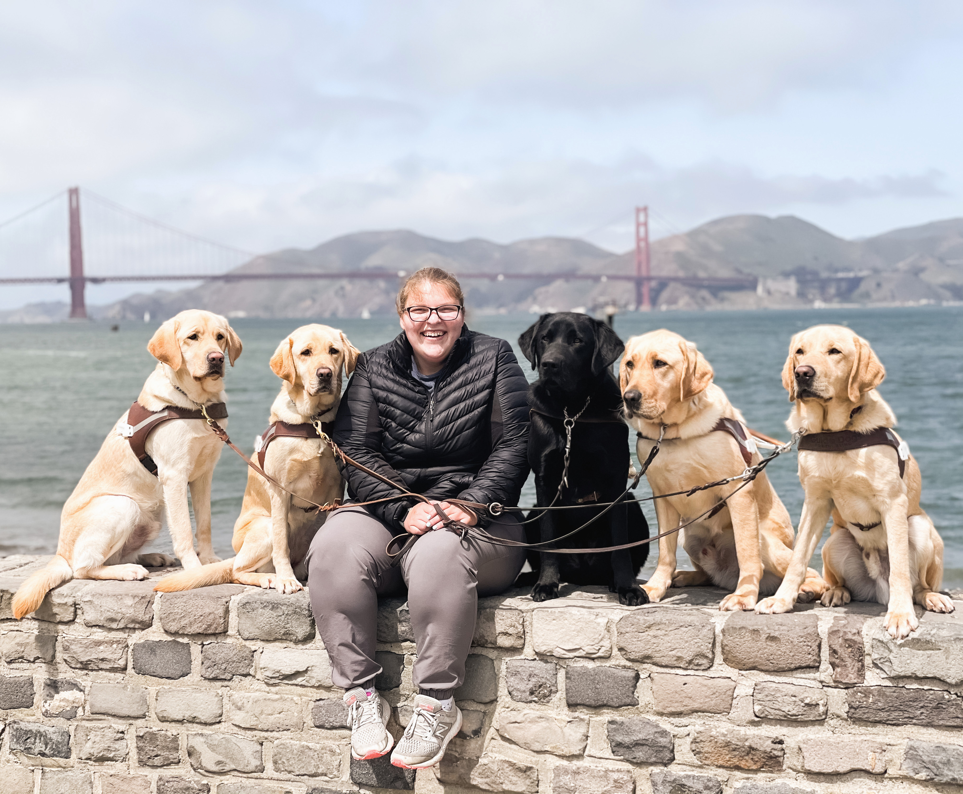 A person sits on a brick bench next to five guide dogs with the Golden Gate Bridge and the San Francisco Bay in the background.