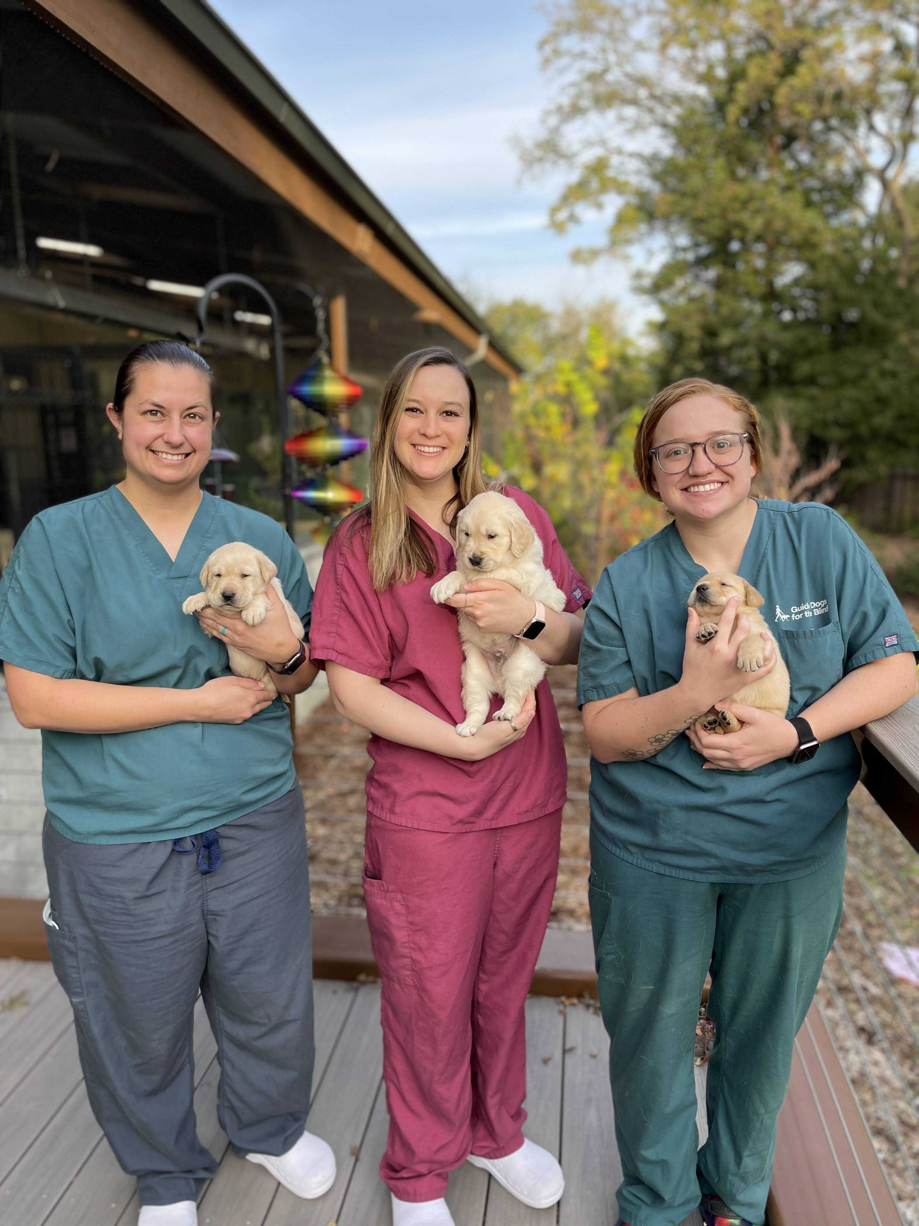 Three GDB staff members wearing scrubs each hold a young yellow Lab puppy in their arms outside the GDB Puppy Center.