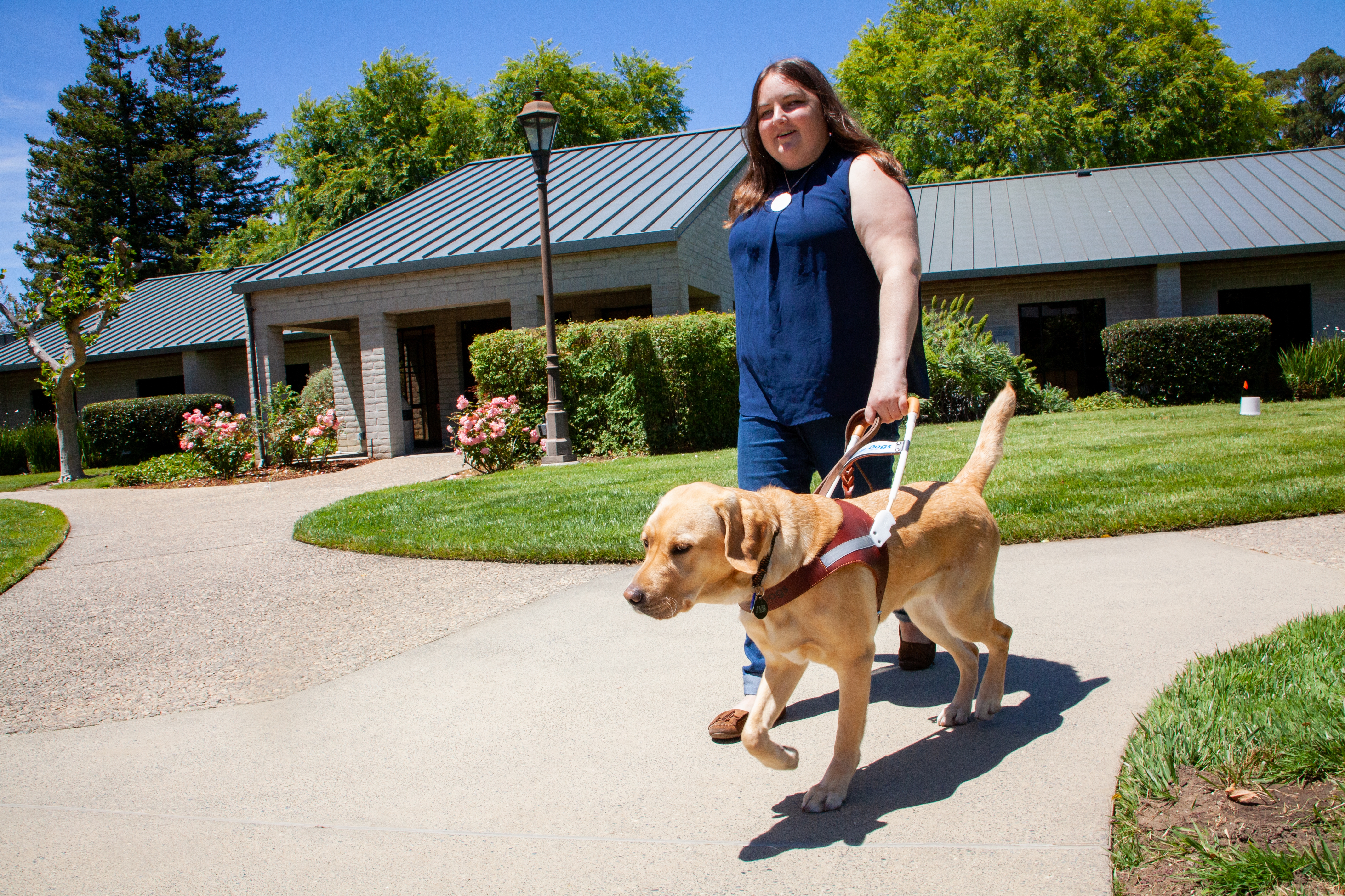 Claire and yellow Lab guide dog Tulane walk through the CA campus of Guide Dogs for the Blind on a bright sunny day.