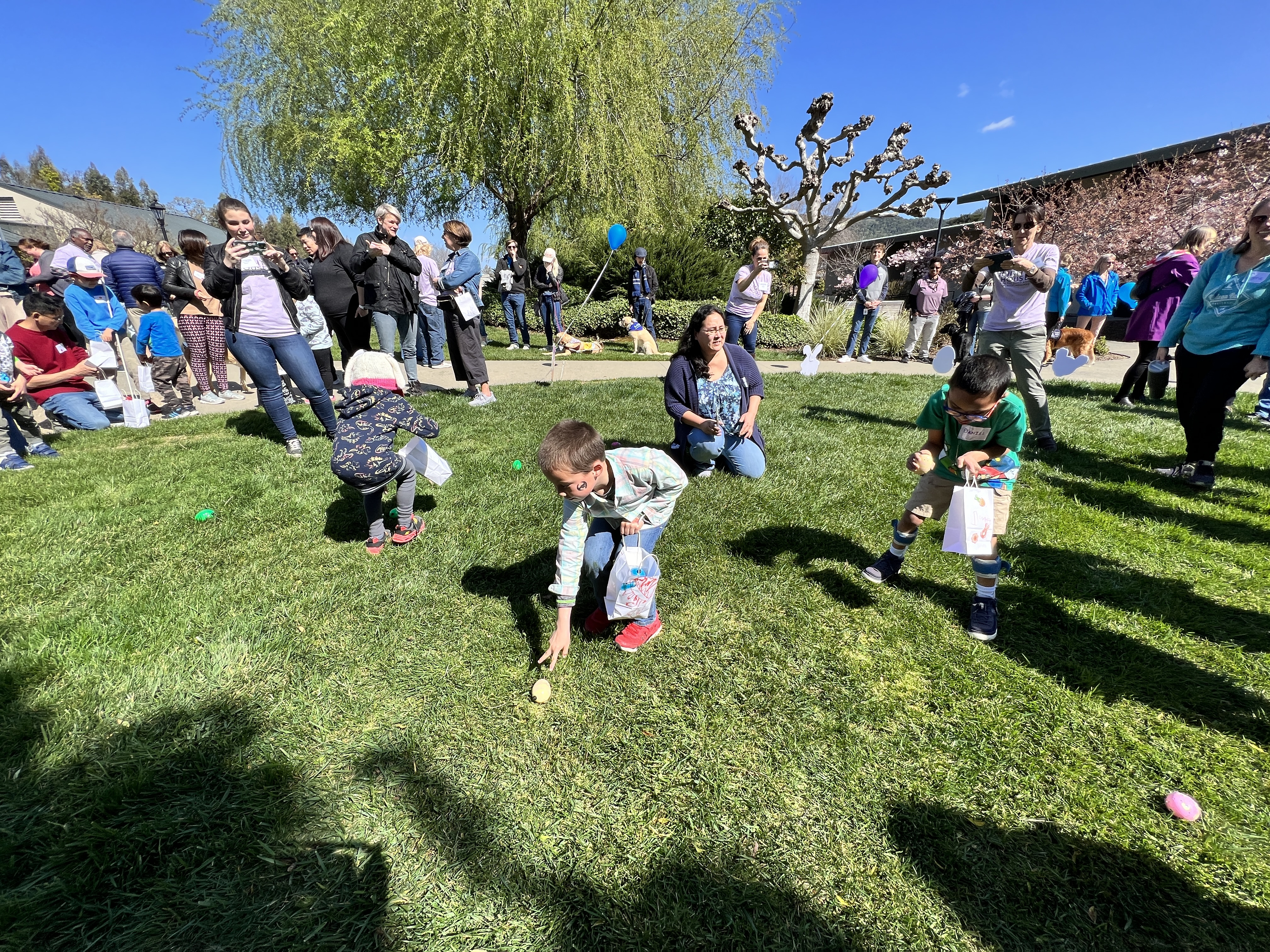 Children hunt for colorful, tactile, beeping eggs on a green lawn.
