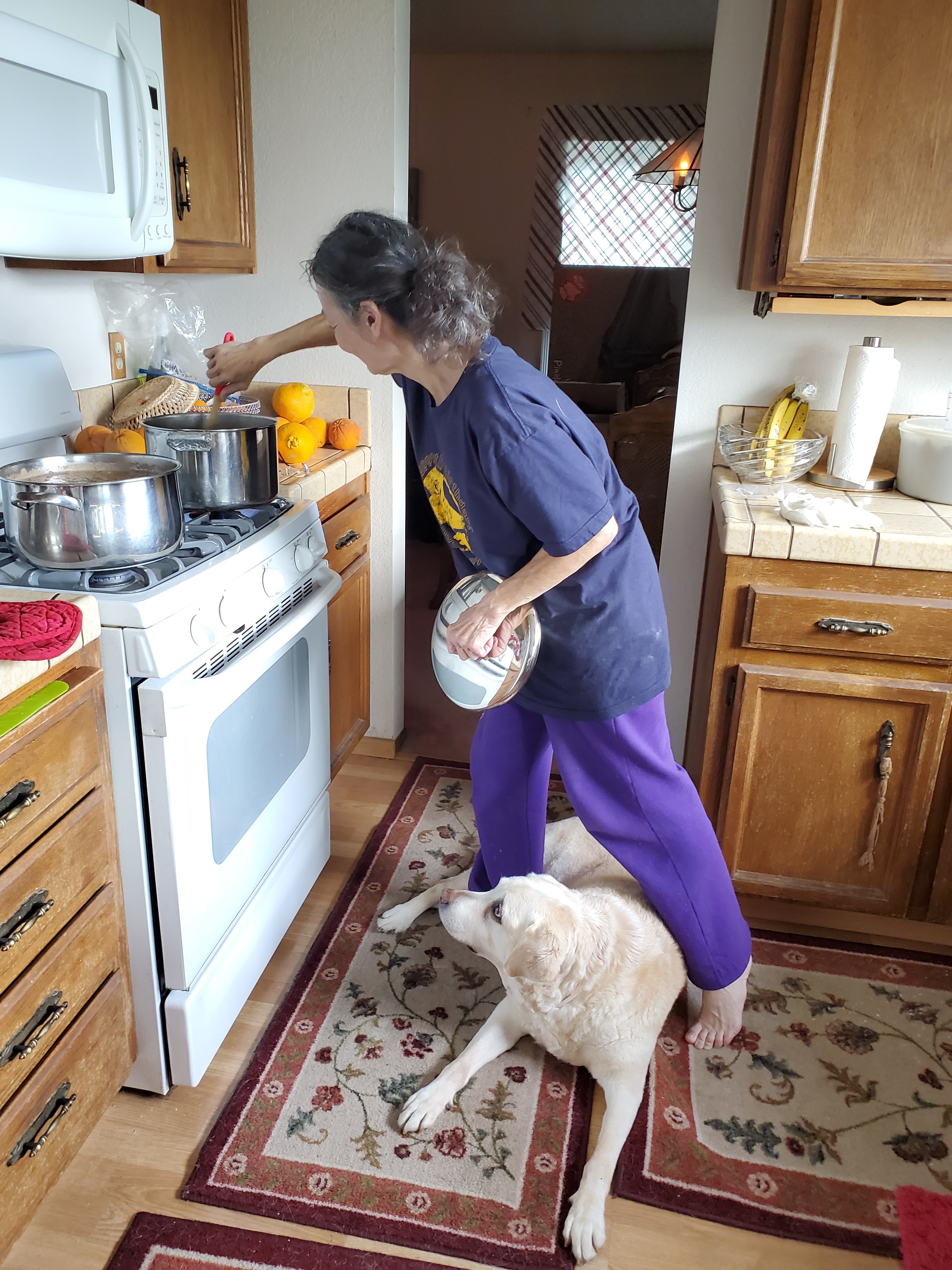 Mary Ann cooking at her kitchen stove with a GDB foster dog at her feet.