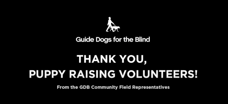 A screen shot of the opening slide of the featured video that reads "Thank you, Puppy Raising Volunteers! From the GDB Community Field Representatives"