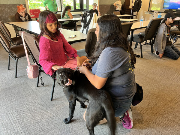 A teenager gets introduced to a black Labrador Retriever by a member of Guide Dogs for the Blind's Training Department staff.