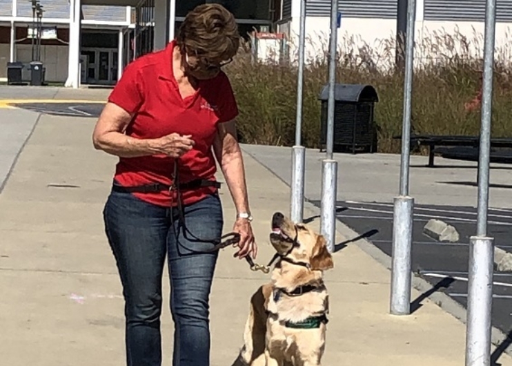 Tami works with a Guide Dog puppy