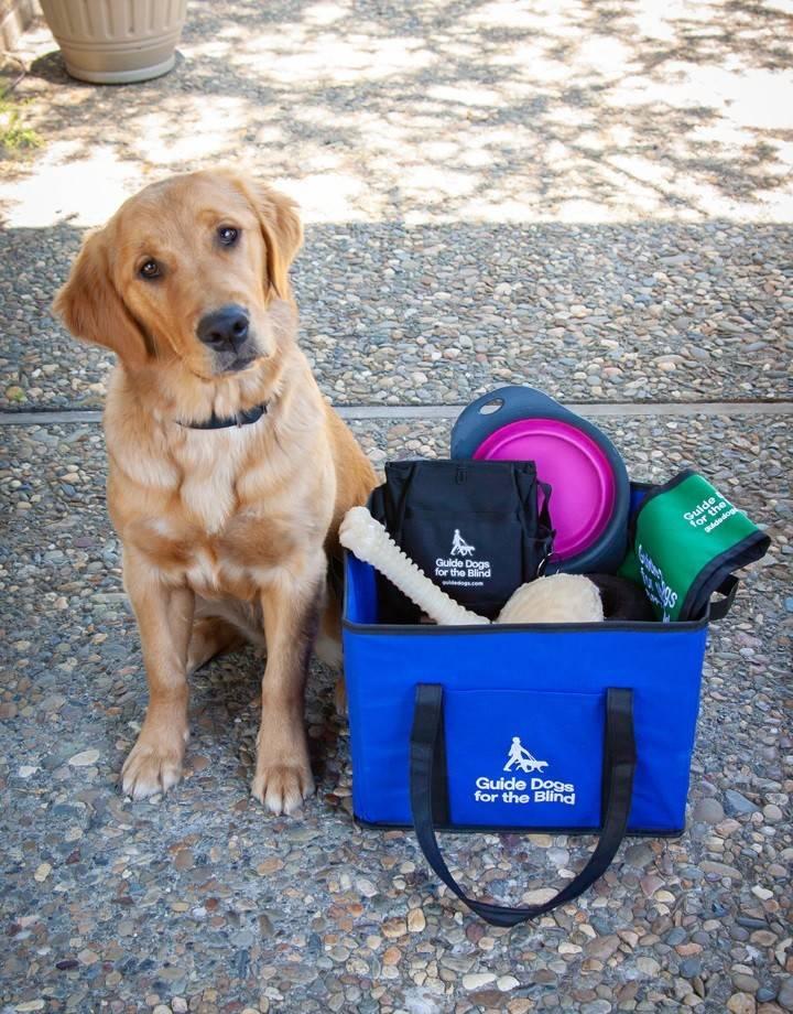 A Golden Lab cross sits beside a blue tote full of GDB merchandise.