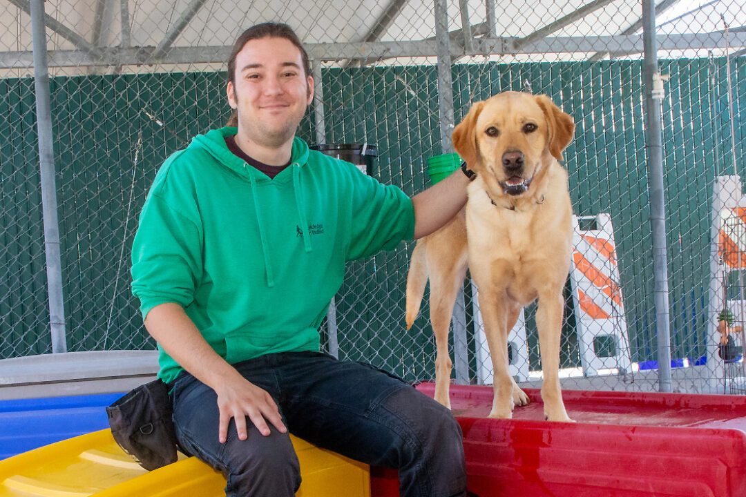 A man seated beside a yellow Lab guide dog in the dog play run.