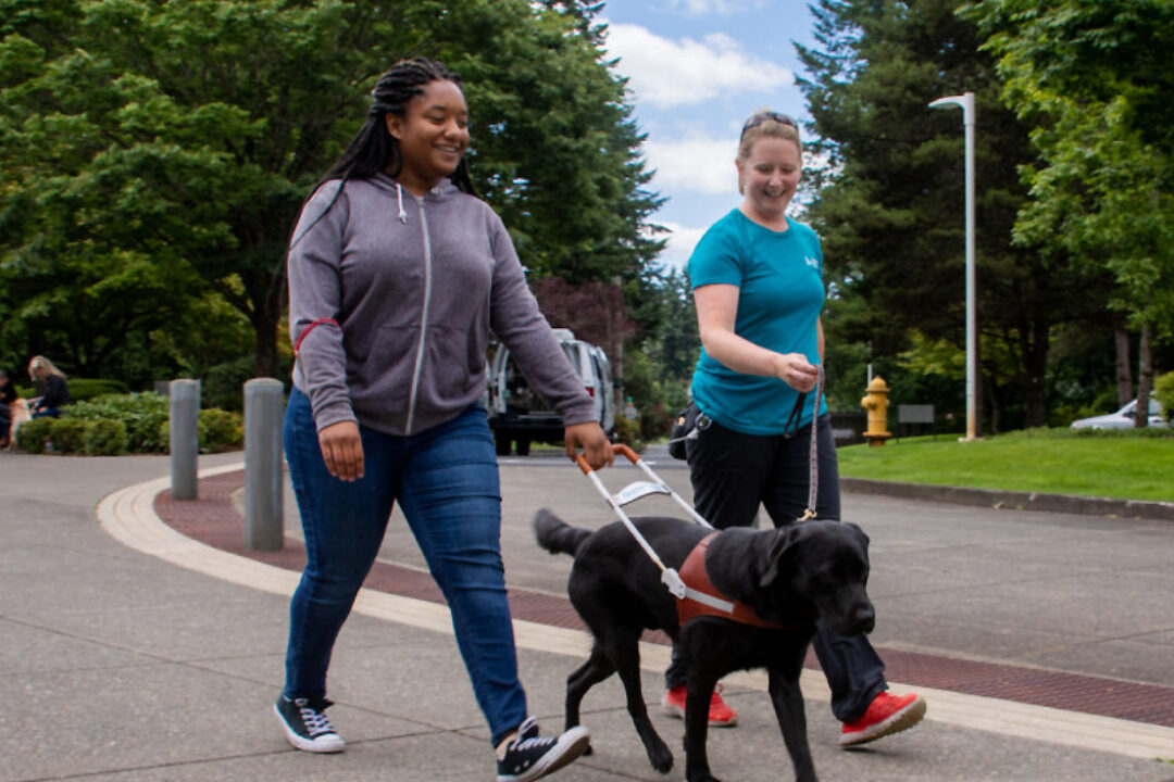 An instructor takes a client on a guide dog walk. The client holds the harness while the instructor holds the leash by their side.