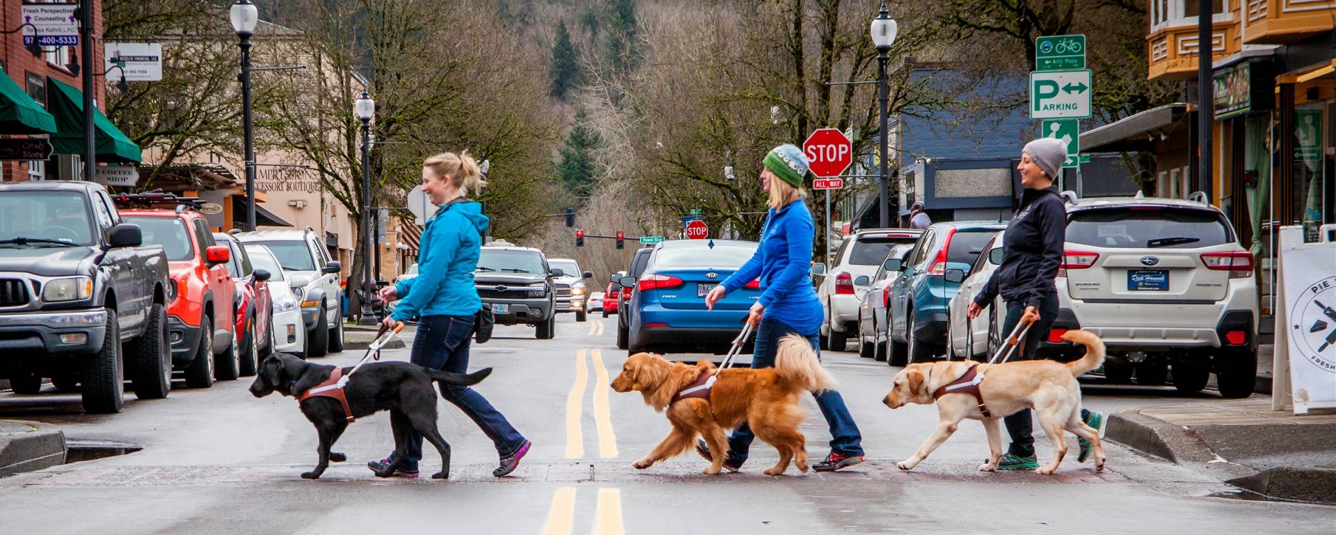Three guide dog mobility instructors crossing a street with guide dogs in training.
