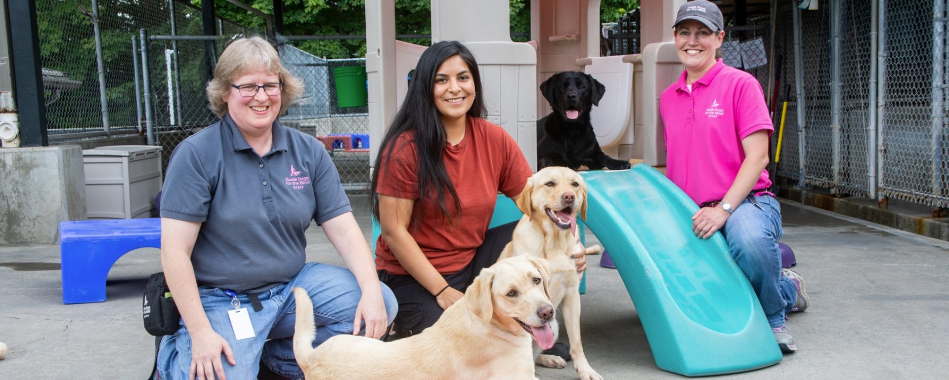 A trio of canine welfare training technicians posing with three dogs on some colorful play structures in our Oregon kennel complex.