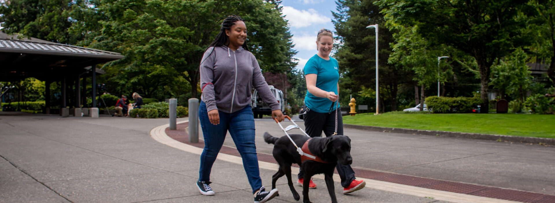 An instructor takes a client on a guide dog walk. The client holds the harness while the instructor holds the leash by their side.
