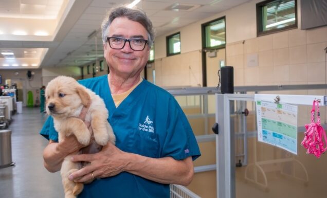 A technician holds a fluffy Golden Retriever inside the Puppy Center.