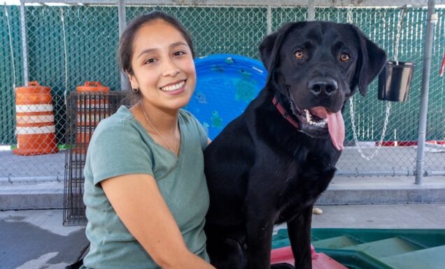 A kennel tech sits beside a black Lab in the kennel community-run play area