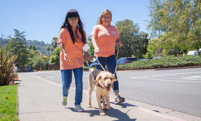 A participant in Camp GDB takes a walk with a guide dog and guide dog mobility instructor.